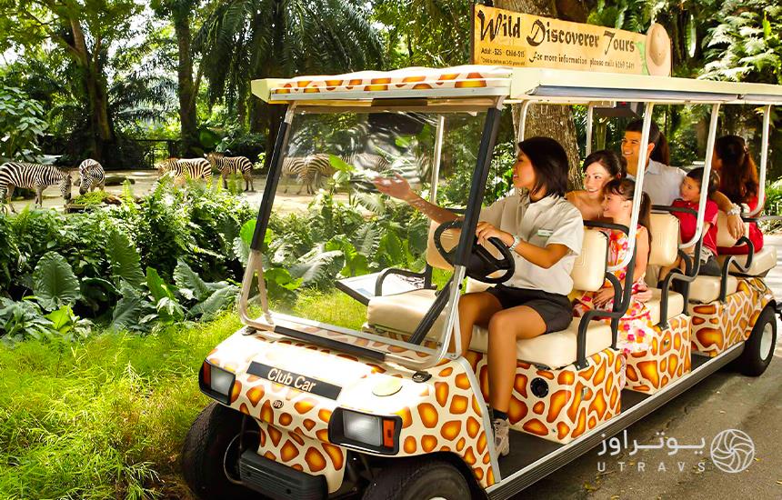 Singapore Zoo tours